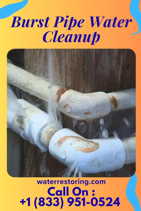 Burst Pipe Water Cleanup in Jenkins, MN