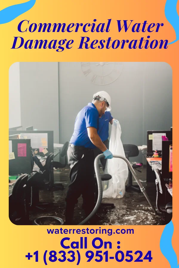 Commercial Water Damage Restoration in Jenkins, MN