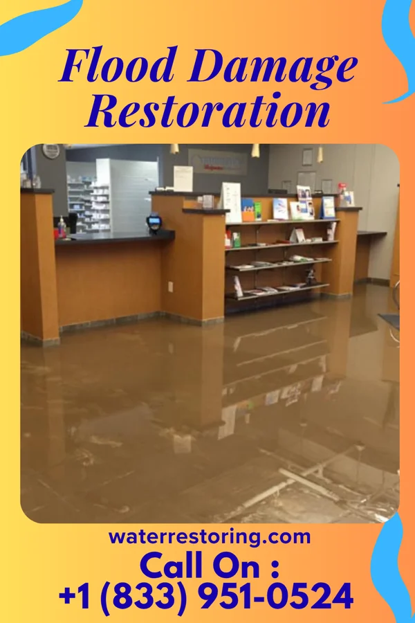 Flood Damage Restoration in Jenkins, MN