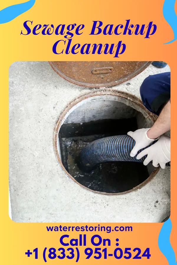 Sewage Backup Cleanup in Jenkins, MN